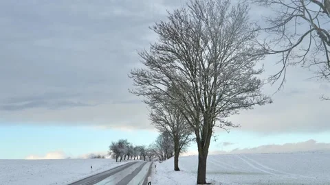 Winter road. Trees in the snow along the road and a beautiful purple blue sky Stock Footage 258480765
