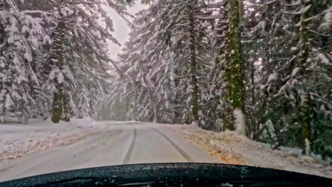 Winter Road Trip. Frontal View Along Forest Path Embark on a winter Stock Footage 267884132