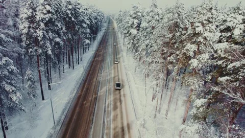 Winter road trip through snowy forest in early morning light Stock Footage 291375378