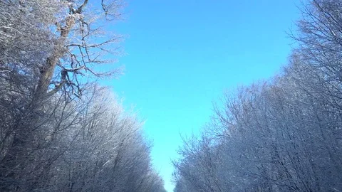 Winter Road view from moving car Video stock 70996169