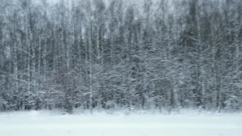 Winter road, view of snow-covered trees and snowdrifts in winter in motion Stock Footage 169348565