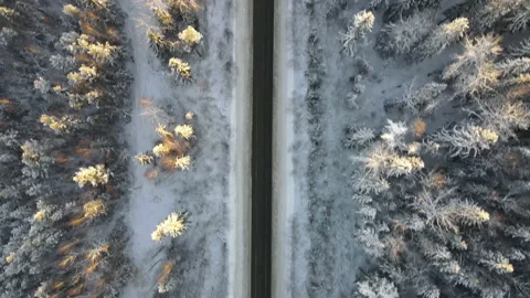 Winter road view from the top Stock-Footage 168184441