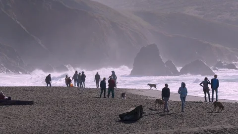 Winter Rodeo Beach Видео 101307406
