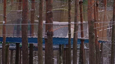 Winter Ropes Course in Pine Forest Stock Footage 325669443