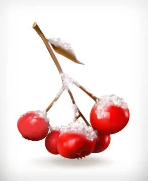 Winter, rowan branch vector icon Illustrazione stock