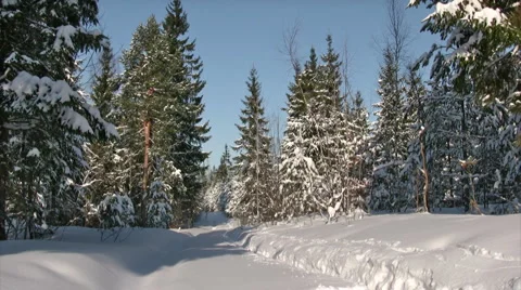 Winter running Vídeo Stock 1587919