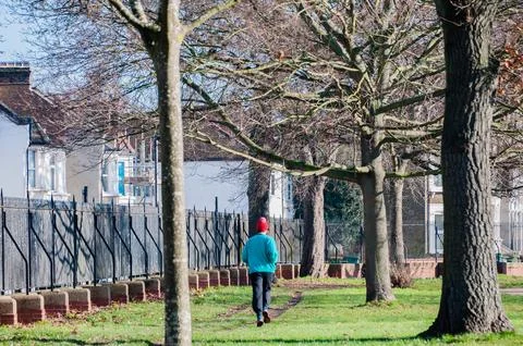 Winter running in the park Stock Photos