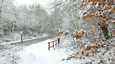 Winter Rural Commute Stock Footage 10833277