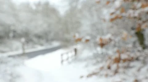 Winter Rural Commute with Soft focus Stock Footage 10834330