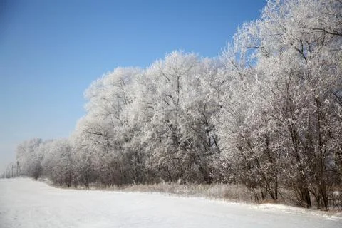 Winter russian landscape Stock Photos