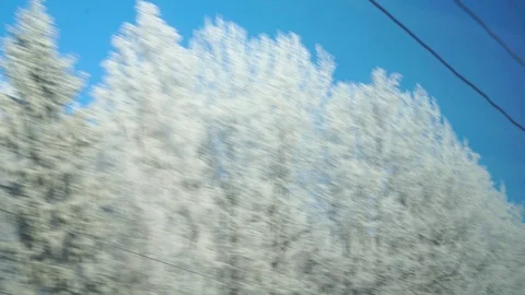 Winter Russian plain from the window of a moving train Видео 104662149