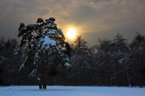 Winter Russian sun Stock Photos