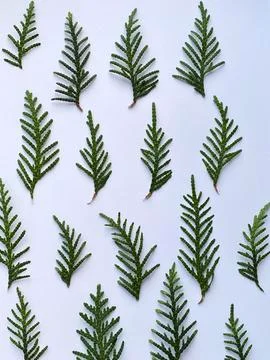 Winter rustic wallpaper. creative winter flat lay Stock Photos