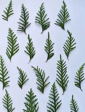 Winter rustic wallpaper. creative winter flat lay Stock Photos