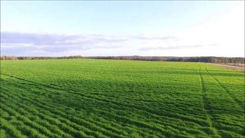 Winter Rye Fly Over Stockbeeldmateriaal 78685795