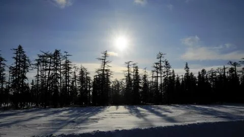 Winter on Sakhalin Stock Photos