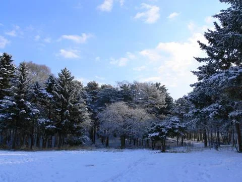 Winter on Sakhalin Stock Photos