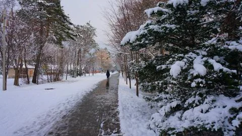 Winter on Sakhalin Stock Photos
