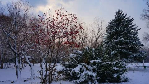 Winter on Sakhalin Stock Photos