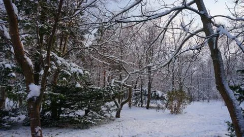 Winter on Sakhalin Stock Photos