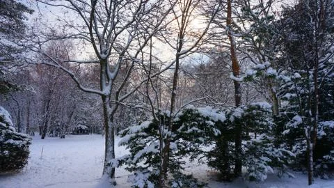 Winter on Sakhalin Stock Photos