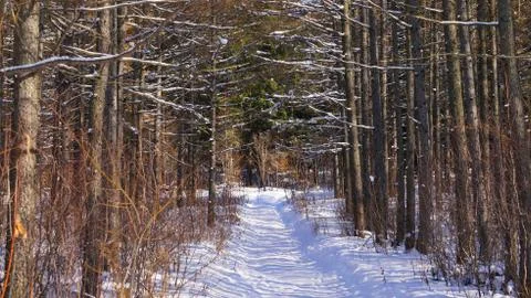 Winter on Sakhalin Stock Photos