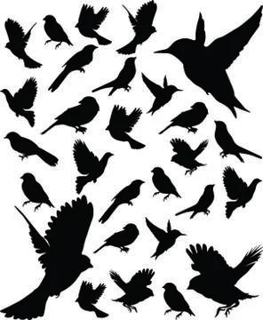 Winter sale vector Stock Illustration