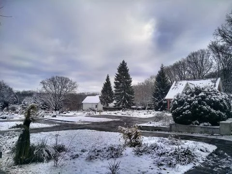 Winter scale  Stock Photos