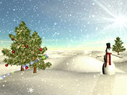 Winter Scene 04 Light Snow Video stock 989829