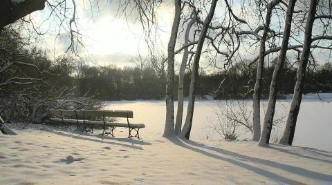 Winter scene 1 Video stock 742288