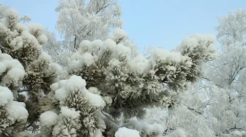 Winter scene 15 Video stock 10578184