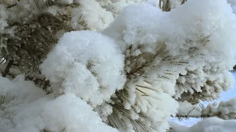 Winter scene 16 Stock Footage 10578180