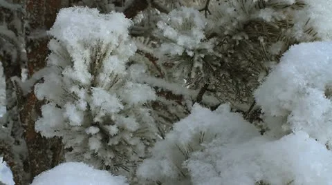 Winter scene 17 Stock Footage 10578176