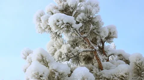 Winter scene 19 Video stock 10578183