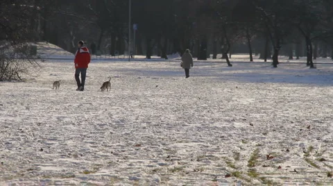 Winter Scene 21 Stock Footage 1061821