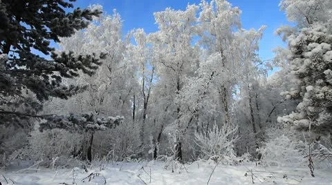 Winter scene 22 Stock-Footage 10578232