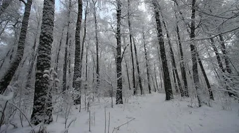 Winter scene 24 Stock Footage 10578213