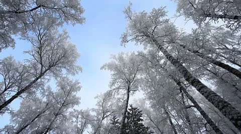 Winter scene 25 Stock Footage 10578247