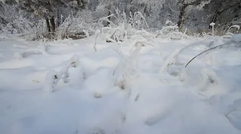 Winter scene 5 Stock Footage 10570566