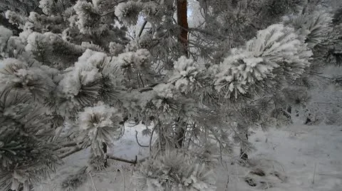 Winter scene 8 Stock-Footage 10570580