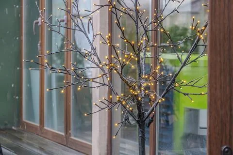 Winter scene with a bare, illuminated tree in an outdoor public space Tree ha Stock Photos