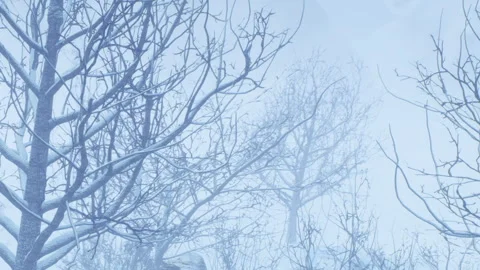 Winter scene with bare trees and snow covering the ground in a quiet area Stock Footage 340606580