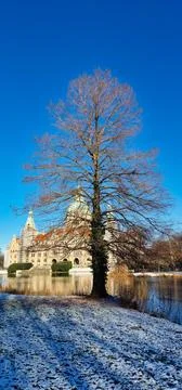 A winter scene with a beautiful tree and historic architecture on a calm, frosty Stock Photos