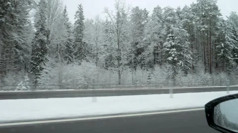 Winter scene from car window snow laden branches beneath dreary clouds Stock Footage 322100213