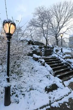 Winter scene in Central Park, featuring stairs and a classic lamp post Stock Photos