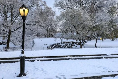Winter scene of Central Park, featuring a classic lamp post Stock Photos