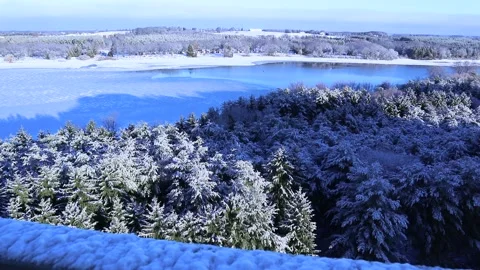 Winter Scene Cold Clear Crisp Day Frozen Lake Snow Covered Trees Aerial Zoom Stock Footage 145976601