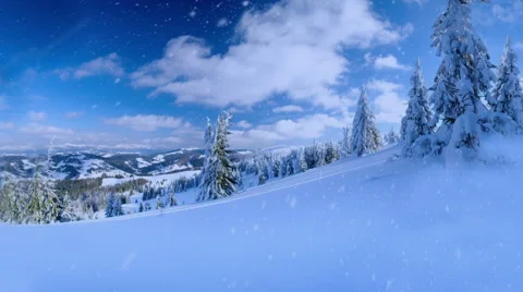 Winter Scene with Falling Show Stock Footage 45520790