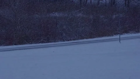 Winter scene with falling snow at dusk Stock Footage 327901939