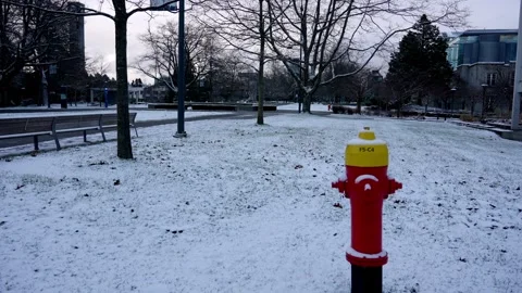 Winter Scene with Fire Hydrant in Snowy Park Setting Stock Footage 256527307